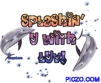 dophin